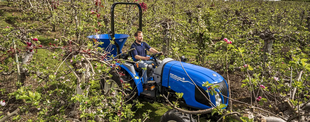 AGRICULTURE, FRUIT PRODUCTION AND HORTICULTURE.