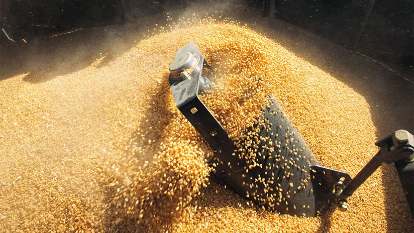 HIGH CAPACITY GRAIN HANDLING