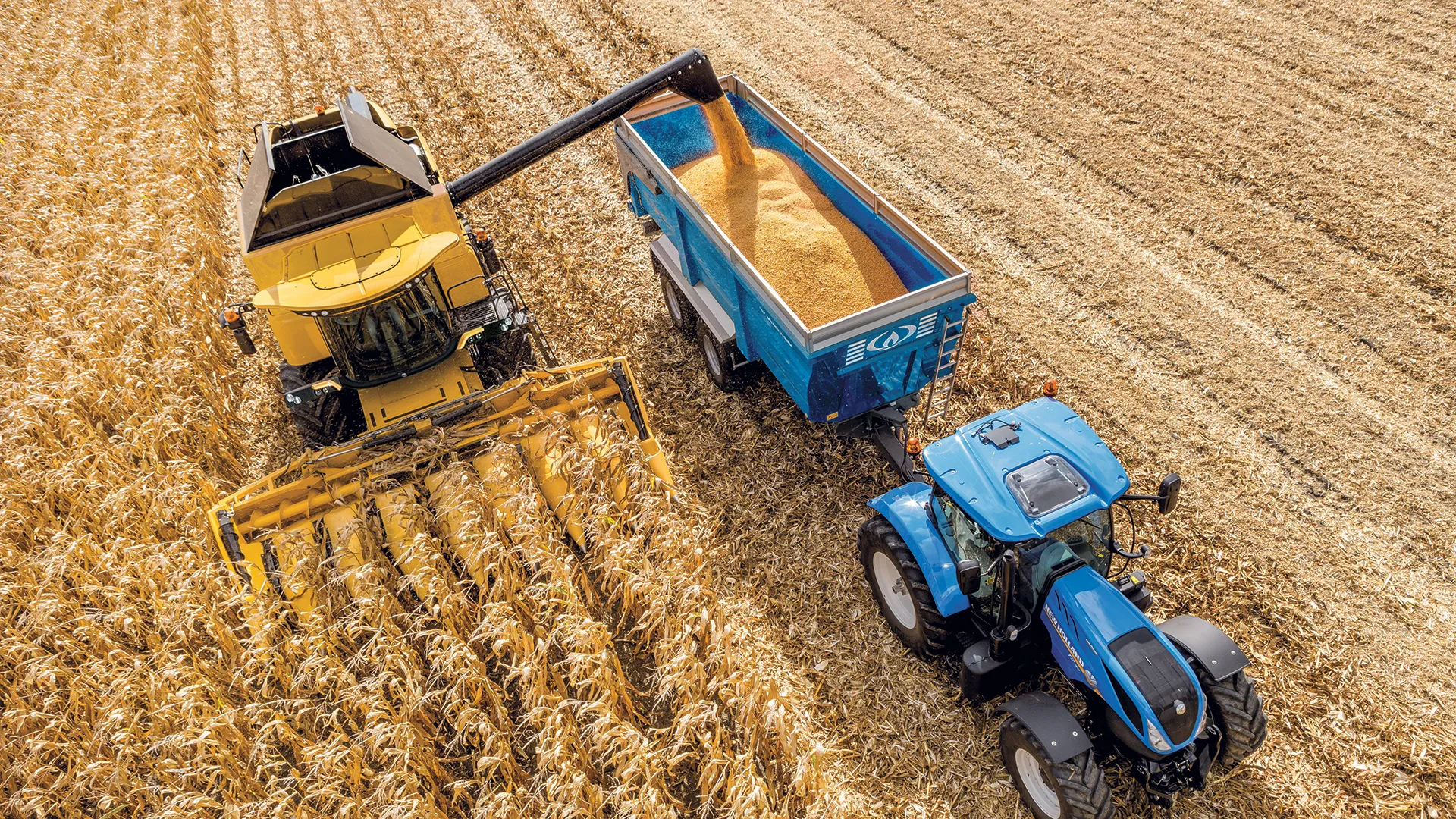 A STEADY FLOW OF CLEAN GRAIN