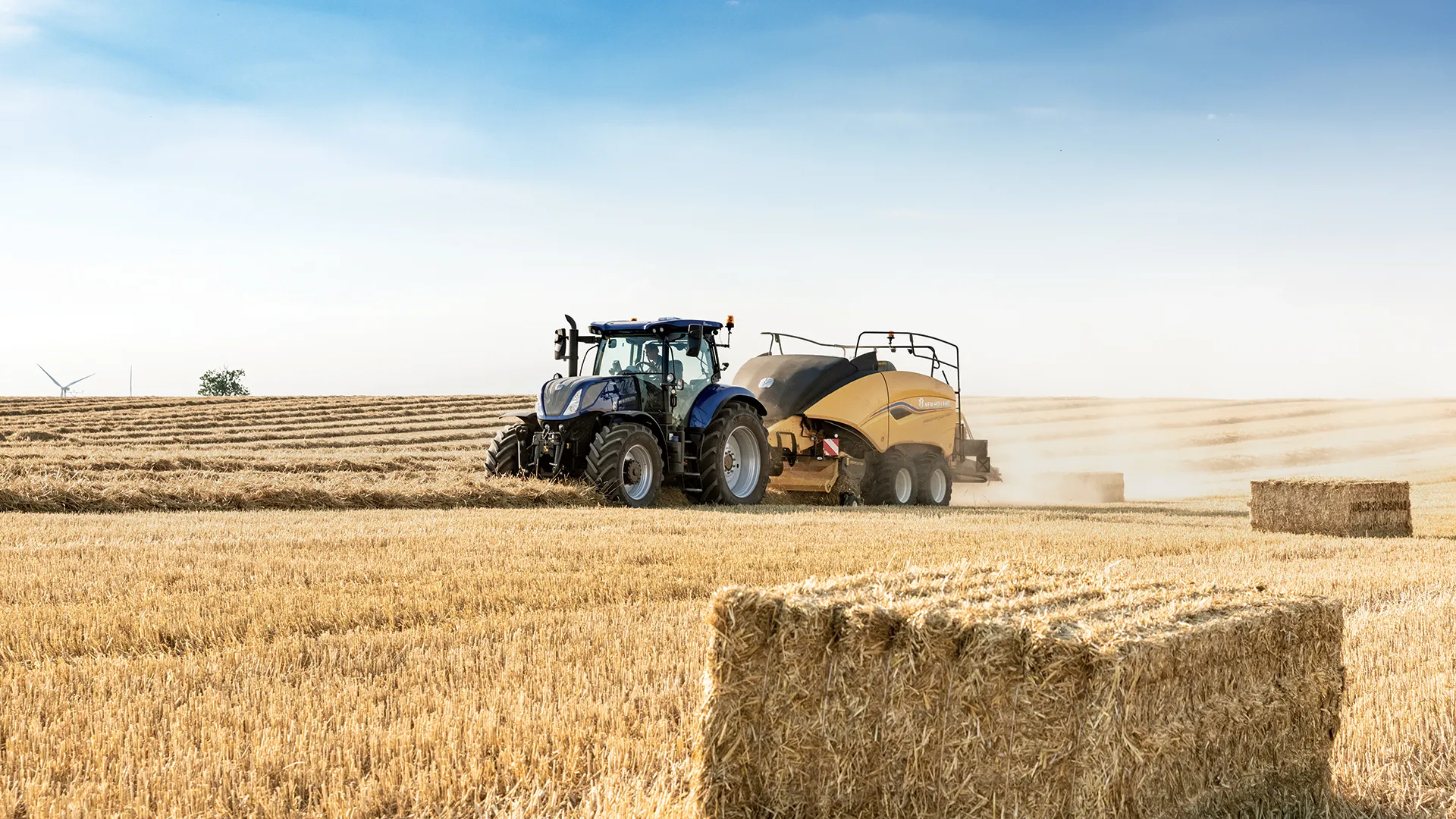 HIGH QUALITY BALES WITH GOOD BEDDING CHARACTERISTICS