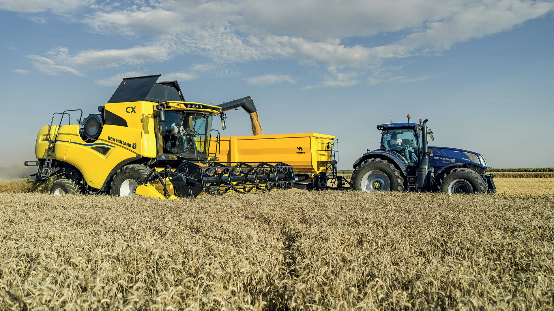 HIGH VOLUME GRAIN MANAGEMENT