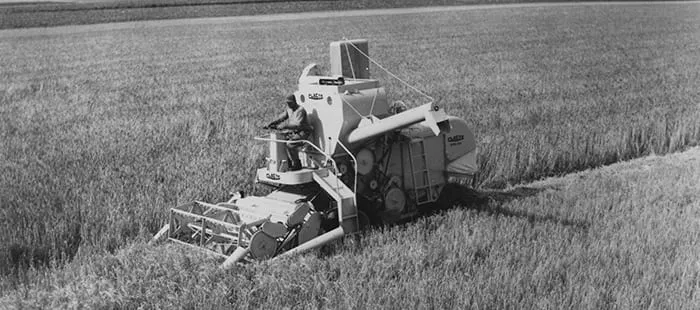 1955