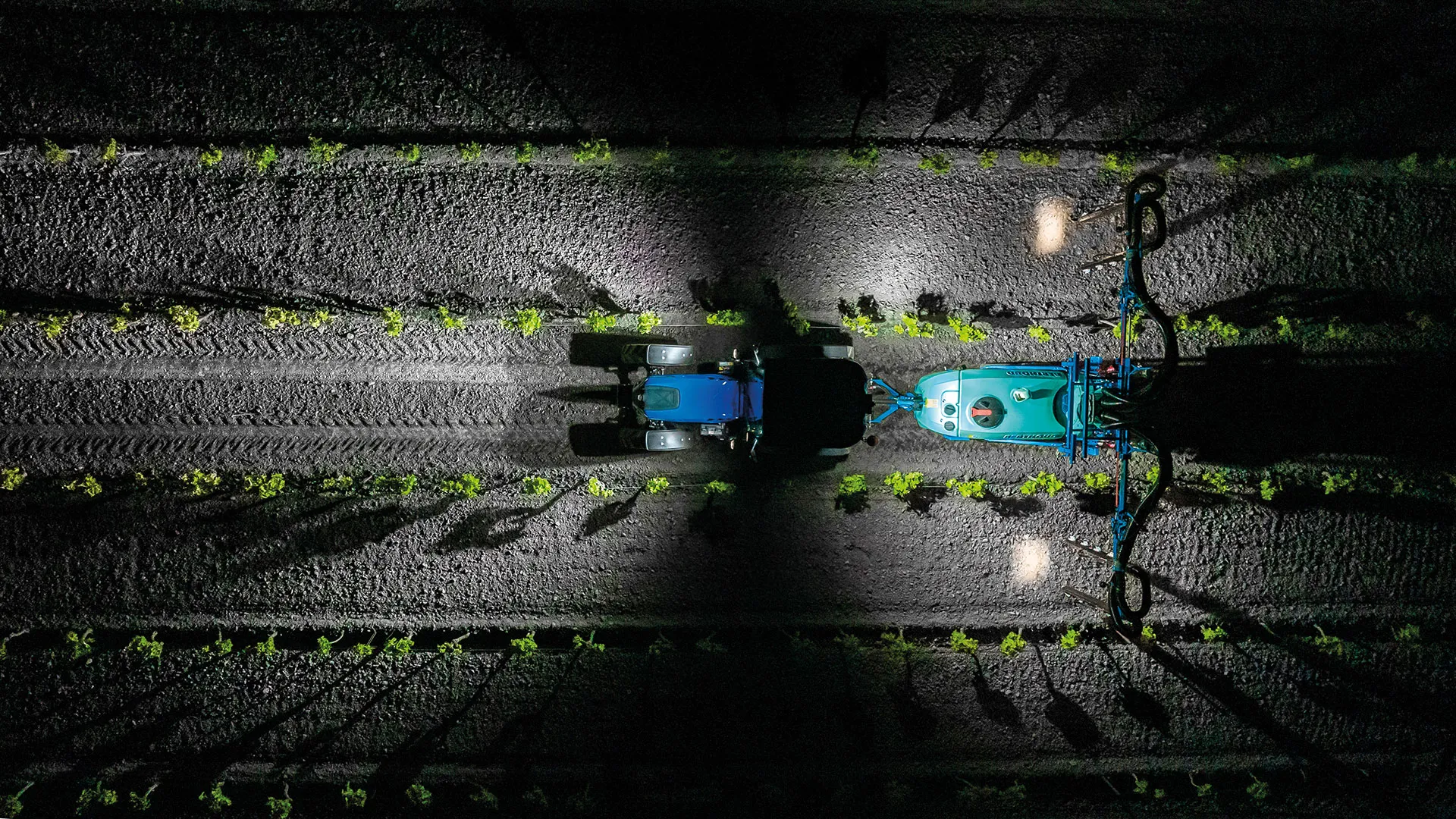 LED LIGHTING
